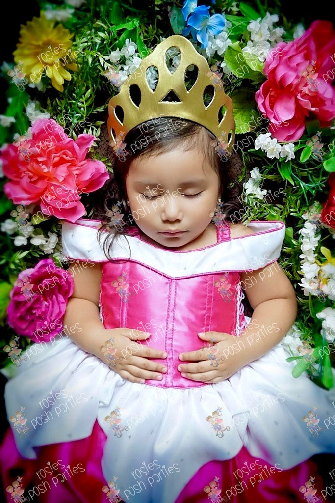 Sleeping Beauty/ Princess Aurora/ Princess Aurora Dress/ Sleeping